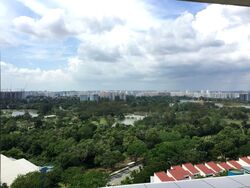 Ivory Heights (D22), Condominium #461533511